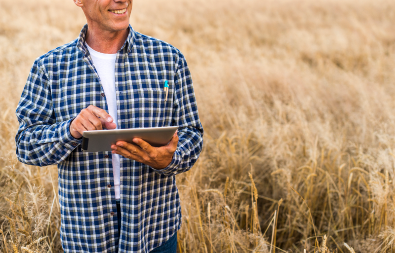 Файл:2025-08-01 13-13-37.png